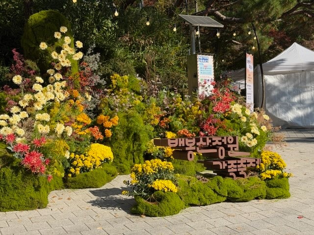 배봉산정원 가족축제 입체글자와 꽃, 식물이 함께 보이는 전체 현장 완성사진